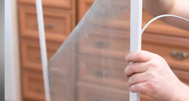 Privacy Mesh Screen Door Installation in South San Francisco, CA
